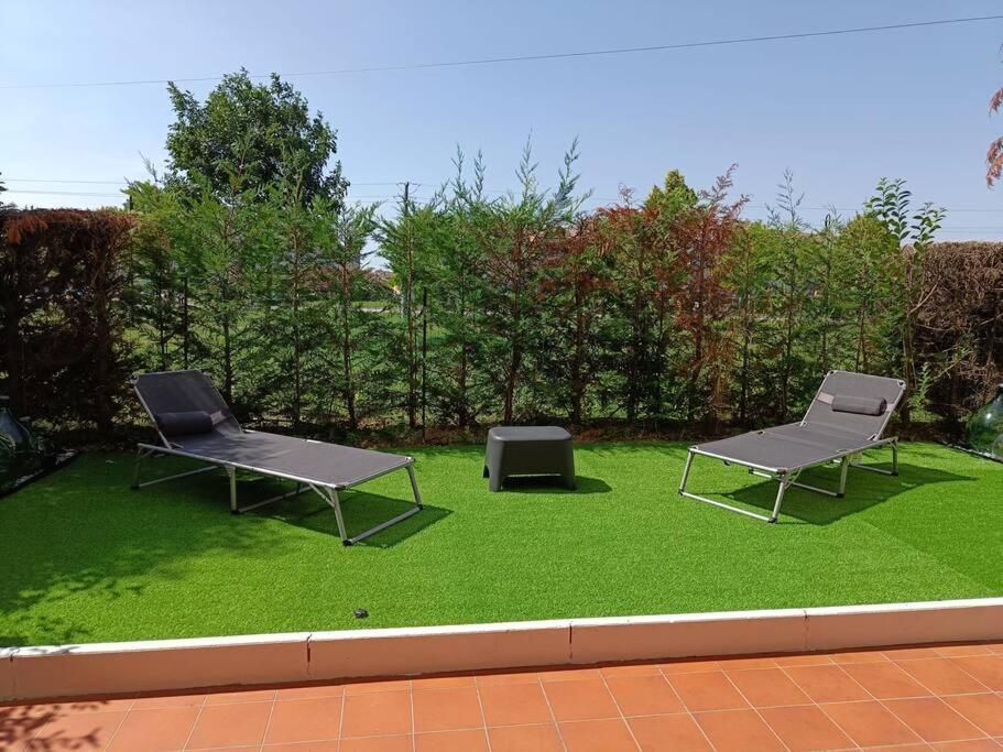 Art-Apart Lt Appartamento Con Giardino Privato Padua Exteriör bild